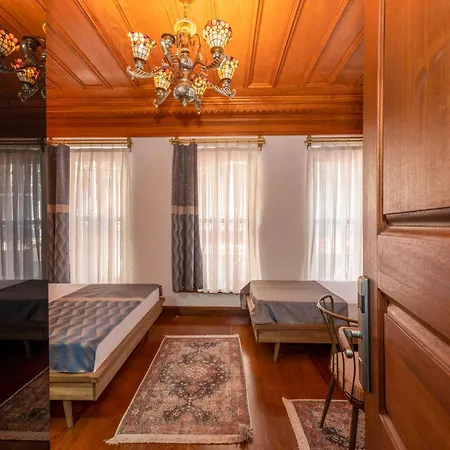 Valeria Antique 1892 Hotel Provincia di Istanbul